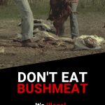 Bushmeat Rollup English