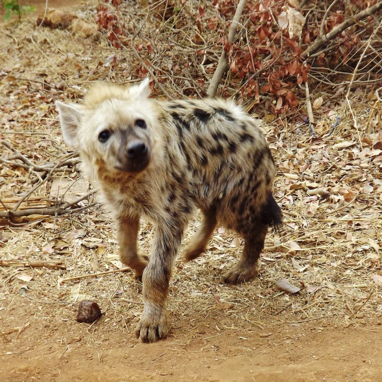 He was never camera-shy either...