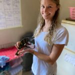 Hayley vet extern with a blind injured chameleon prior to feeing time