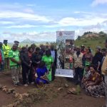 Tree planting group - Forrestry