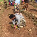 Yolanda tree planting